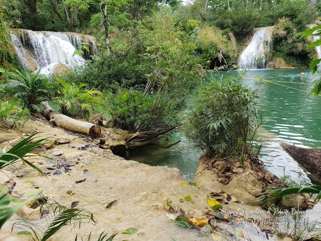 Cómo llegar a las Cascadas de Roberto Barrios Palenque Chiapas desde Tabasco.